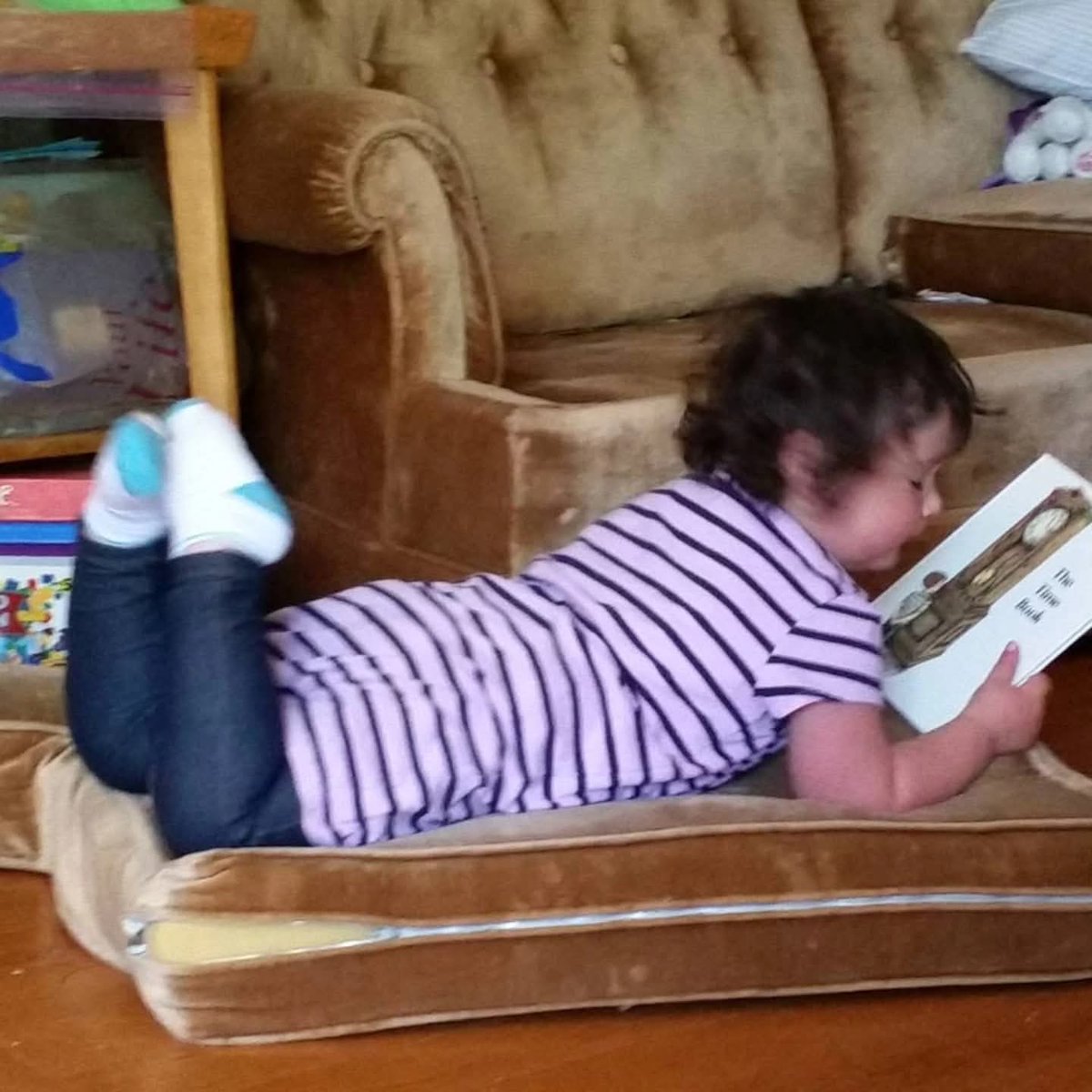 isda1979's tweet image. Just like her nanay. 
A girl after my own heart.  She loved to read before bed and at random times during the day. 
Miss you so much, Milly. 

#BookwormInTraining #JustLikeMama
#NotOneMore