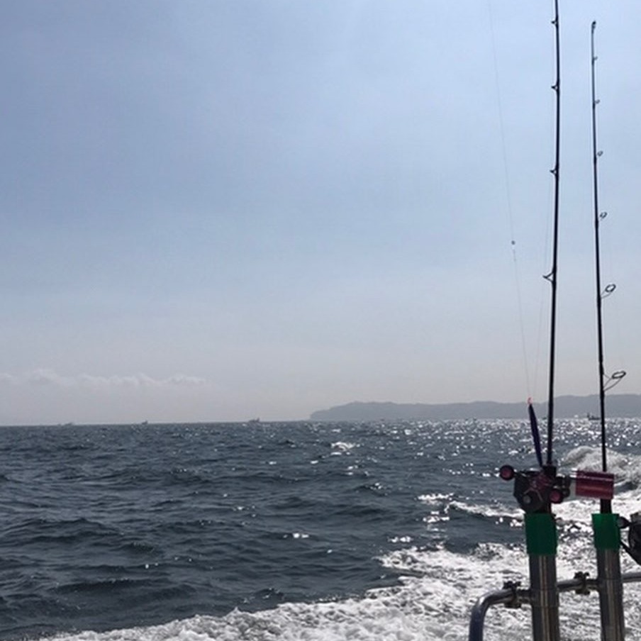 HzRufan's tweet photo. 観音崎で釣りをしてきました🐟✨
この日は浦安から船を出して、1時間かけて観音崎へ向かいました🛥️

ちょっと風は強かったけど、お天気は最高で☀️
太陽が昇ってからは汗だくになるほど暑かったです😂💦
#釣りをする

#釣りスタグラム

#釣果 https://t.co/BiPMWImK3Q