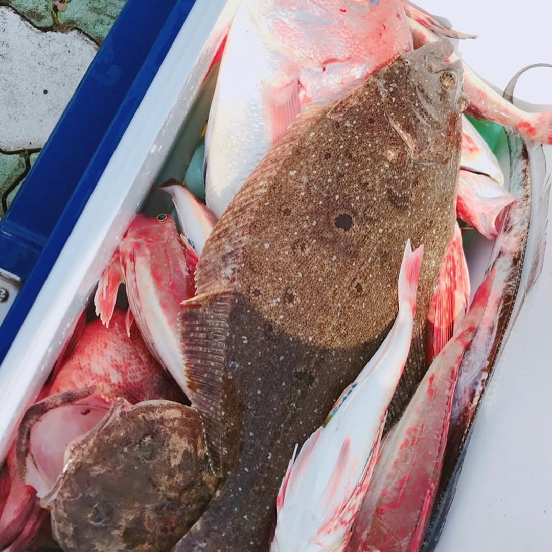 HzRufan's tweet photo. 観音崎で釣りをしてきました🐟✨
この日は浦安から船を出して、1時間かけて観音崎へ向かいました🛥️

ちょっと風は強かったけど、お天気は最高で☀️
太陽が昇ってからは汗だくになるほど暑かったです😂💦
#釣りをする

#釣りスタグラム

#釣果 https://t.co/BiPMWImK3Q