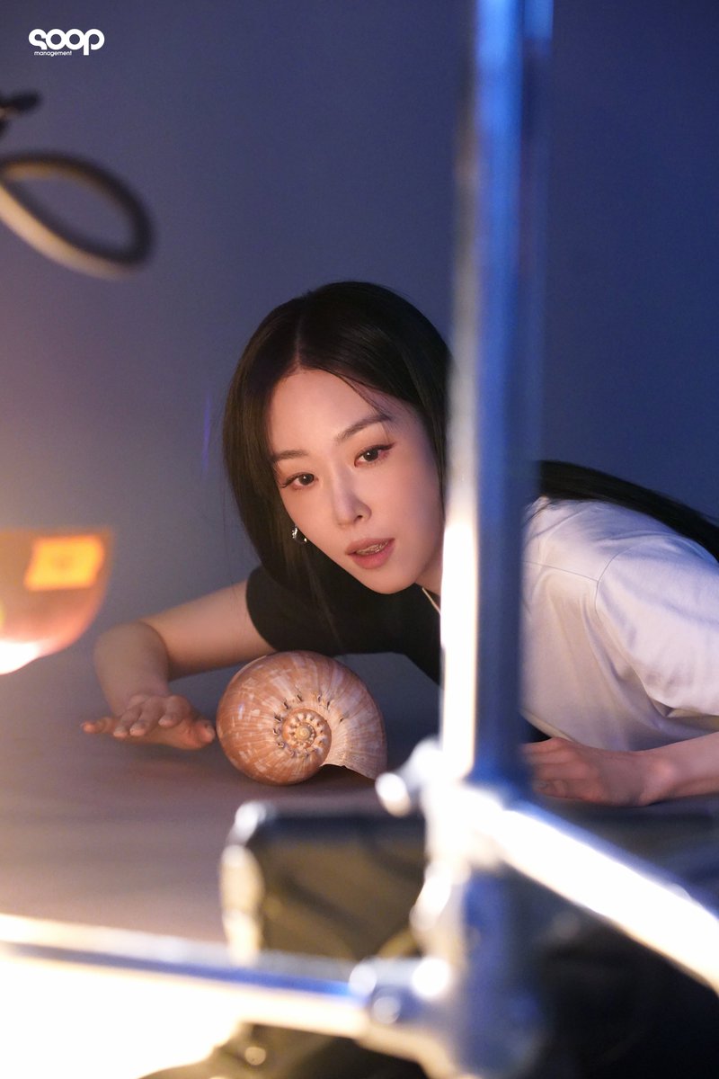 숲블리 tweet media