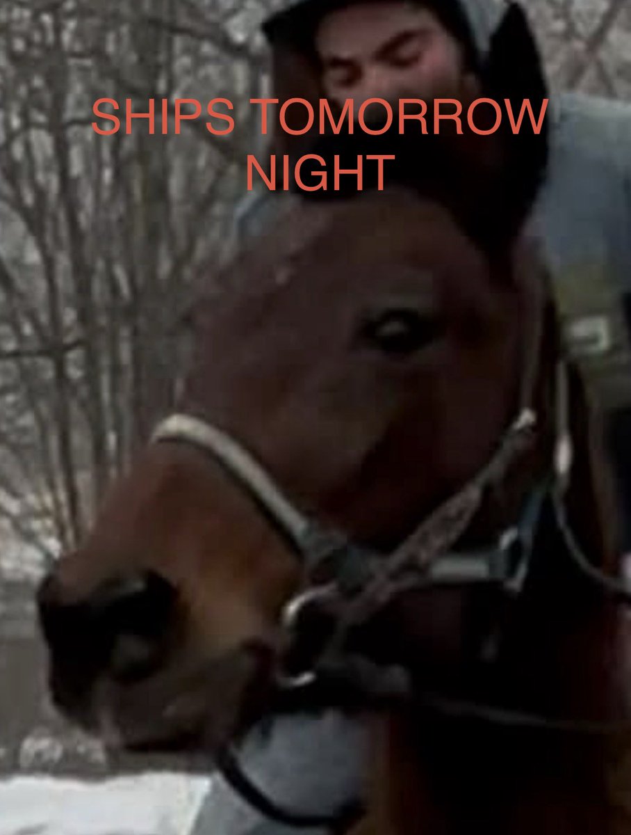 Standardbred Retirement Foundation tweet media