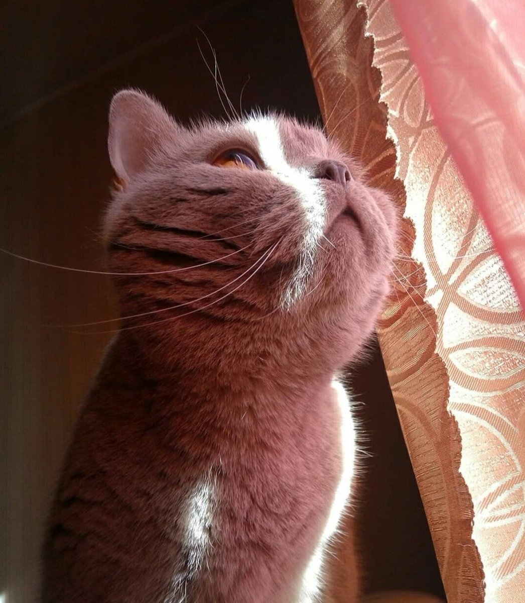 Quentin🌱 tweet media