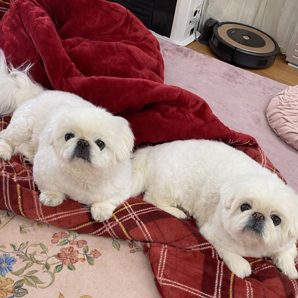 今日はダメな日だ
まあこんな日もあるよね