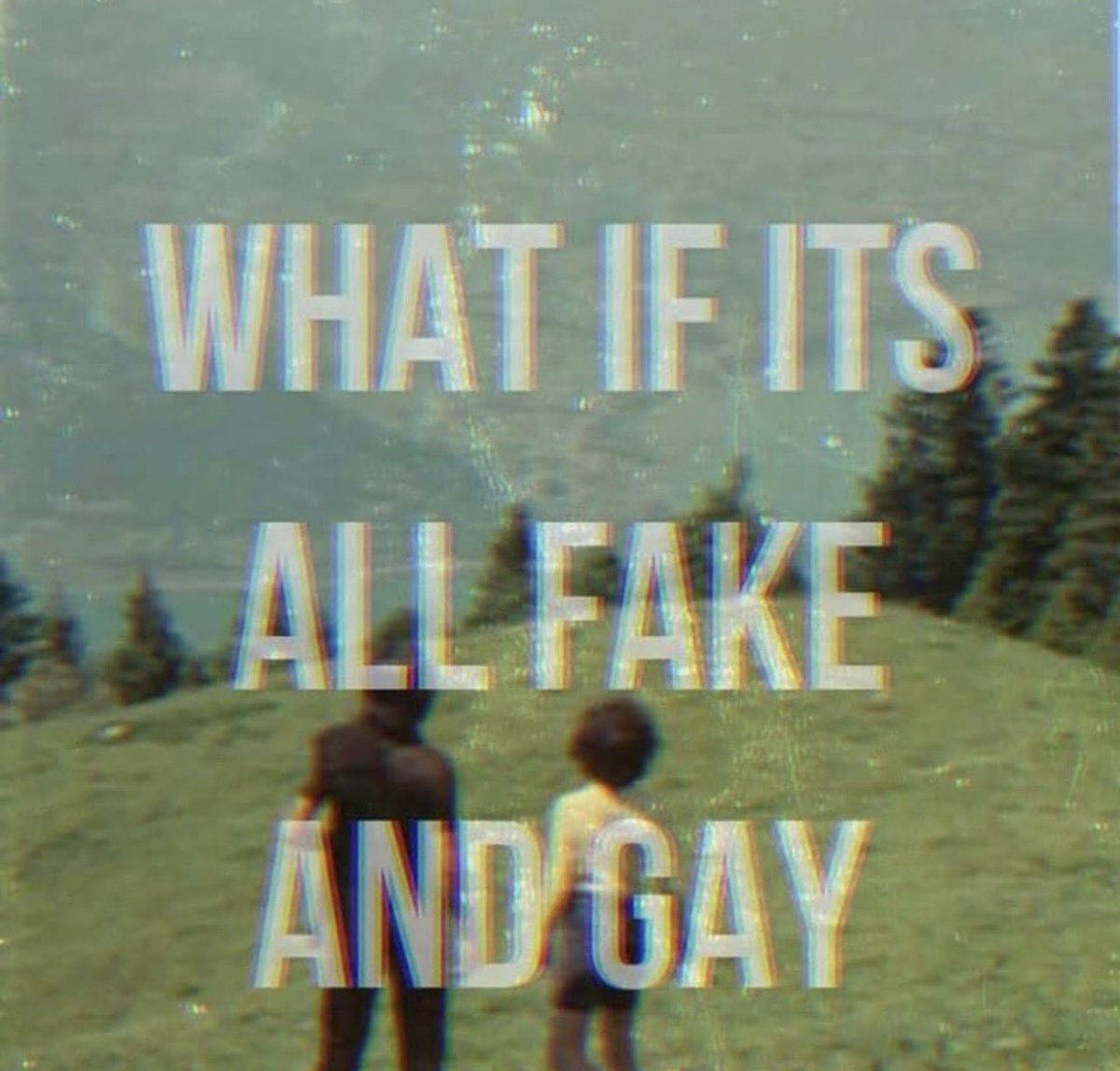 Michelle 🇺🇸 tweet media