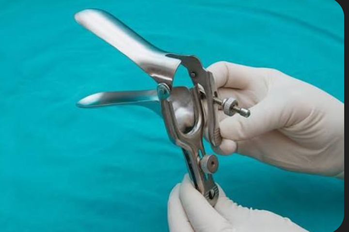 ⋆｡˚☽˚｡⋆🌜Mara🌛 ⋆｡˚⋆❀ tweet media