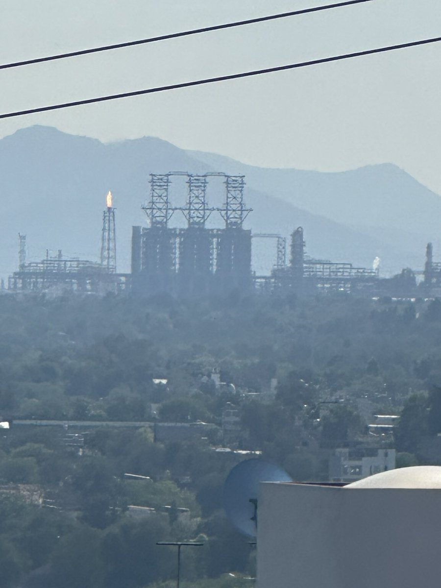 ☘️ Tommy ☘️ 🇲🇽 tweet media