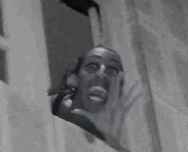 quando eu posto 🗣️🗣️🗣️ é essa imagem da Pepita que eu quero que vocês lembrem