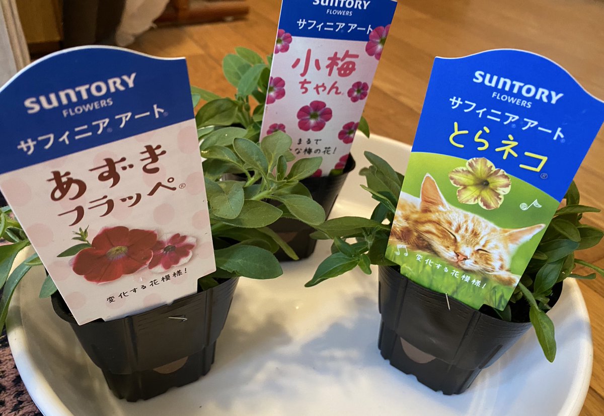 またお迎えしてしまい