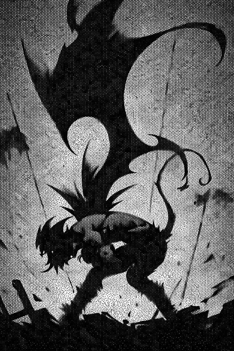 nocturnal tweet media