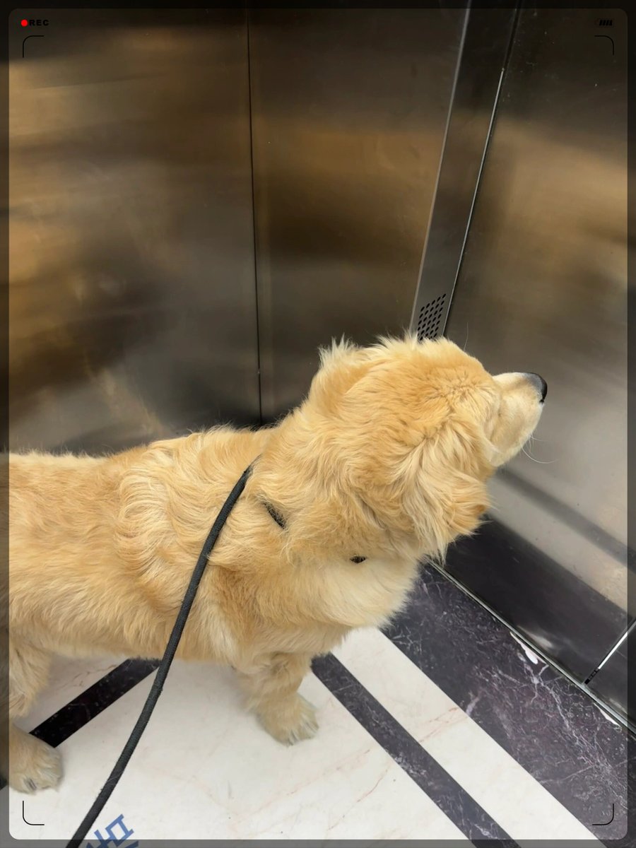 karel p prinsloo tweet media