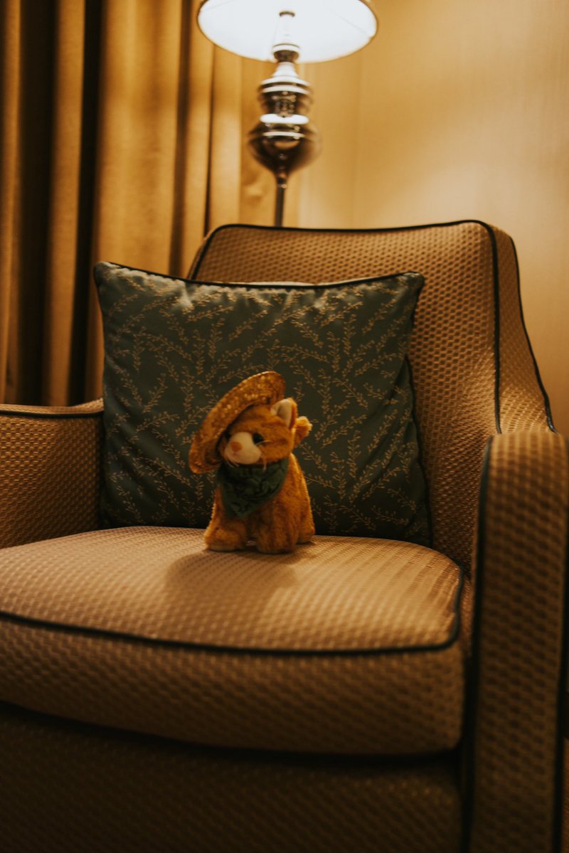 Kenji🌟 tweet media