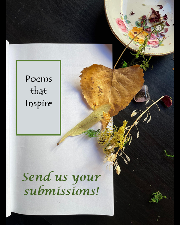 Sanctuary Magazine tweet media