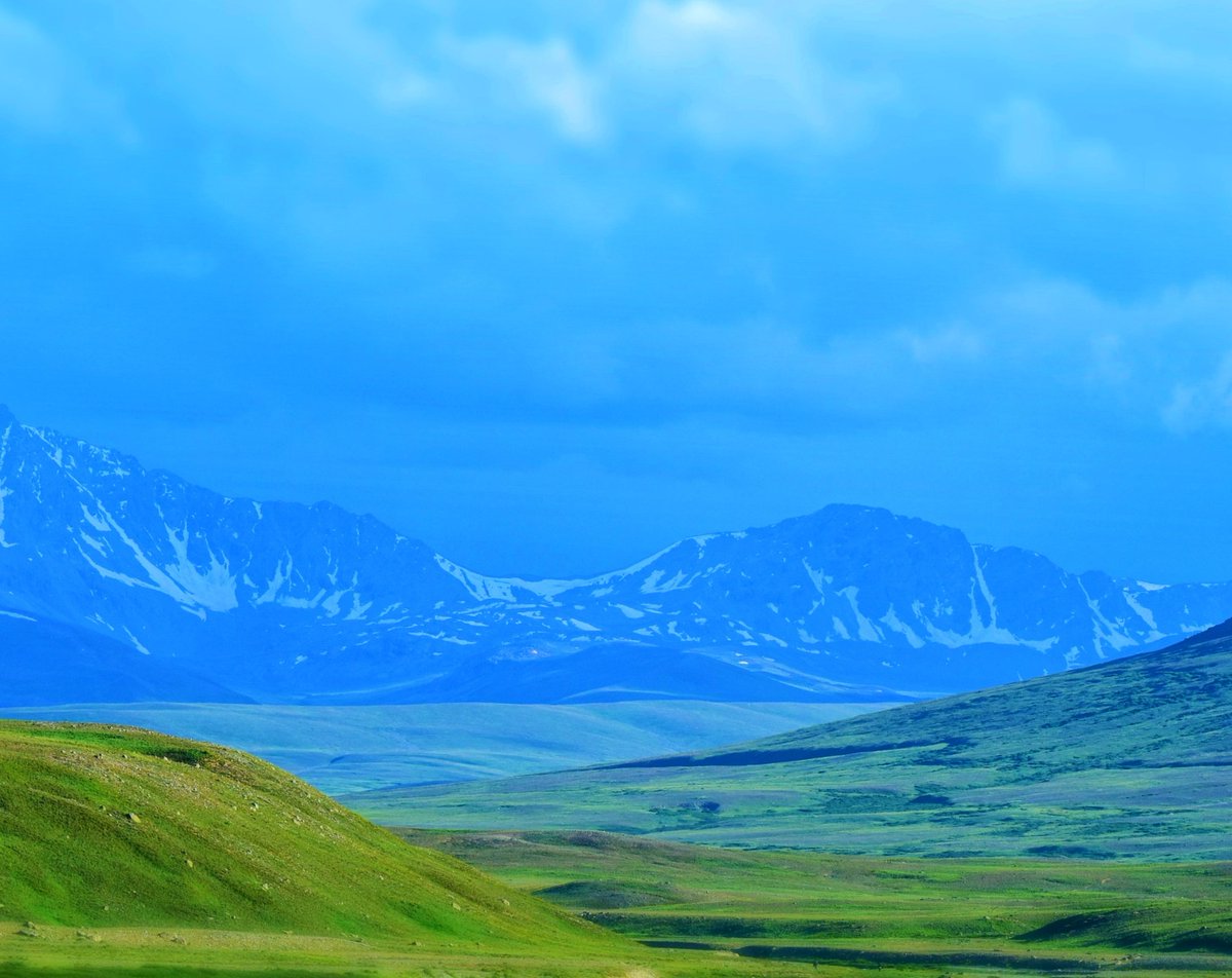 syedrizwanmehb1's tweet photo. One of my favourite spots in GB's Deosai Plains - one needs to walk at least 6-7 hrs over steep,perilous slopes to reach here from main tourist areas (luckily hardly any toirists)

Mostly under clouds, crystal clear water streams; miles of flowery carpets &amp; yes, brown bears too https://t.co/VXAKiWn72m