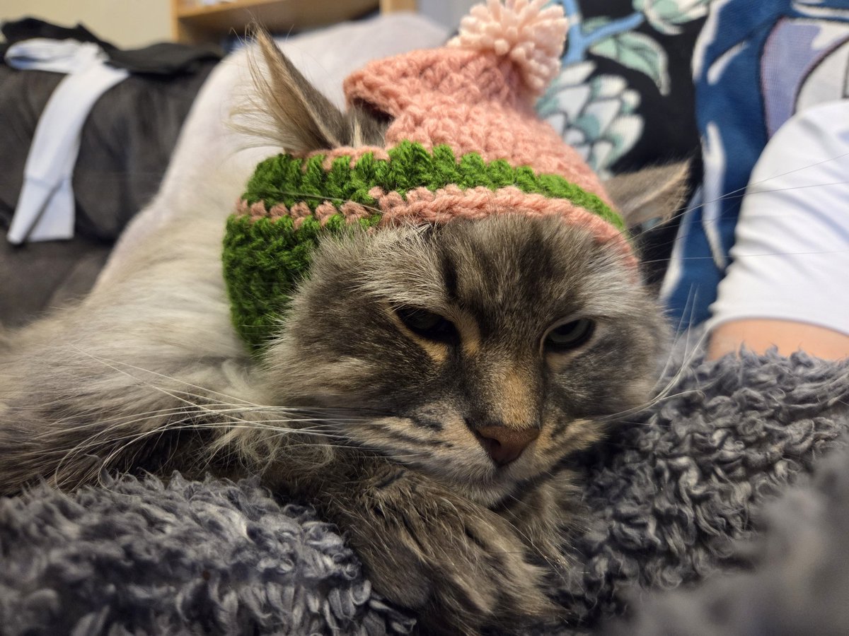 Emi Lo 🔜 KawaiiKon tweet media