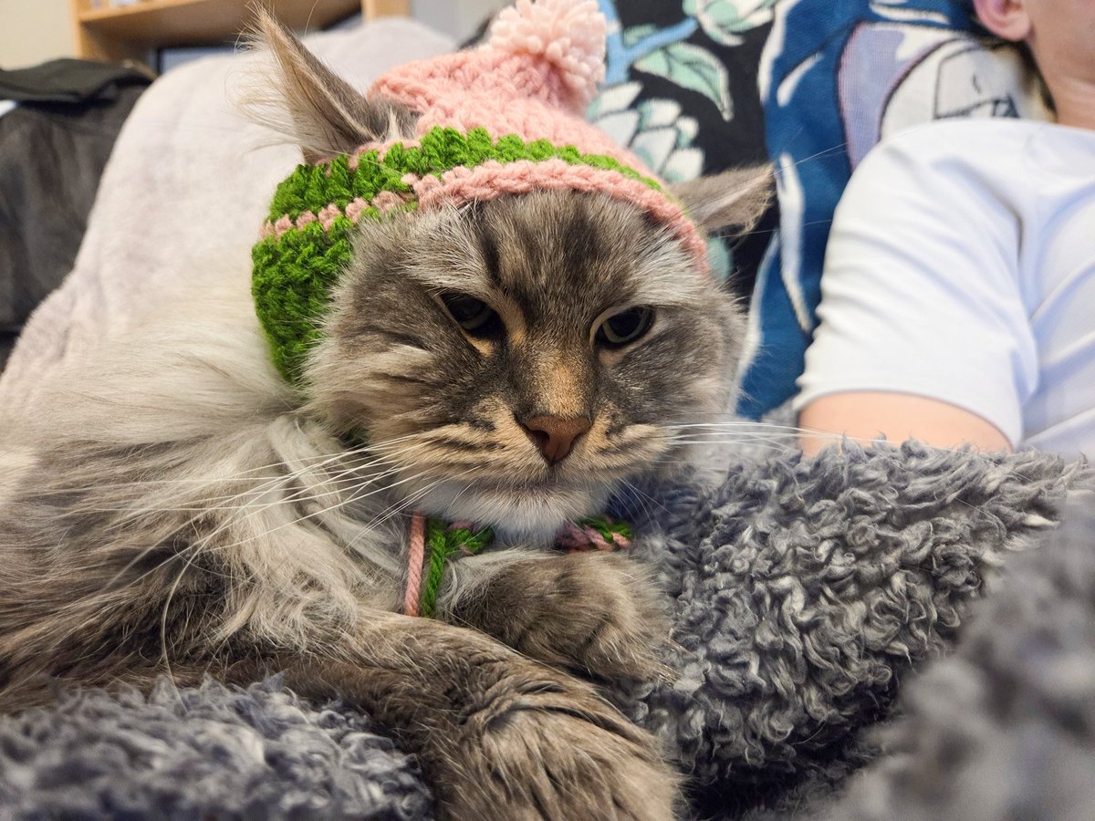 Emi Lo 🔜 KawaiiKon tweet media