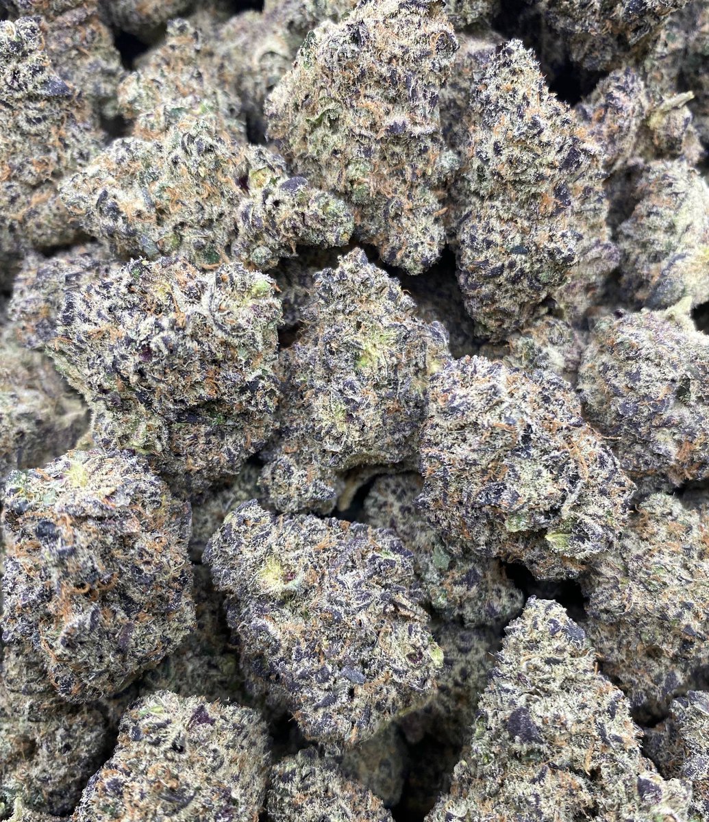 GIAEXOTIX's tweet image. Blueberry Sugar 

Check out the link for full media 

tutuduanyu.org/GIAEXOTICS

t.me/+oWiAD5vPLVM1N…

#sativa #muhameds #besos #usa #cali #cannabis #thc #hitz #boutiq #za #zaza #bowls #deps #indoorweed