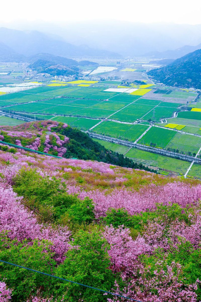 hongceng10's tweet photo. Nature's vibrant palette in full bloom. 🌈✨ https://t.co/u2VGTqZMcC
