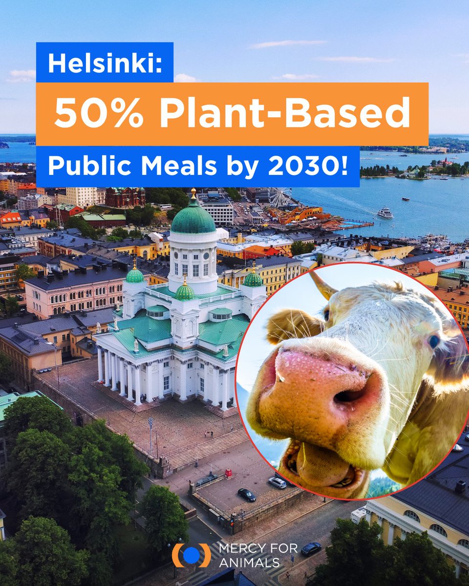 Mercy For Animals tweet media