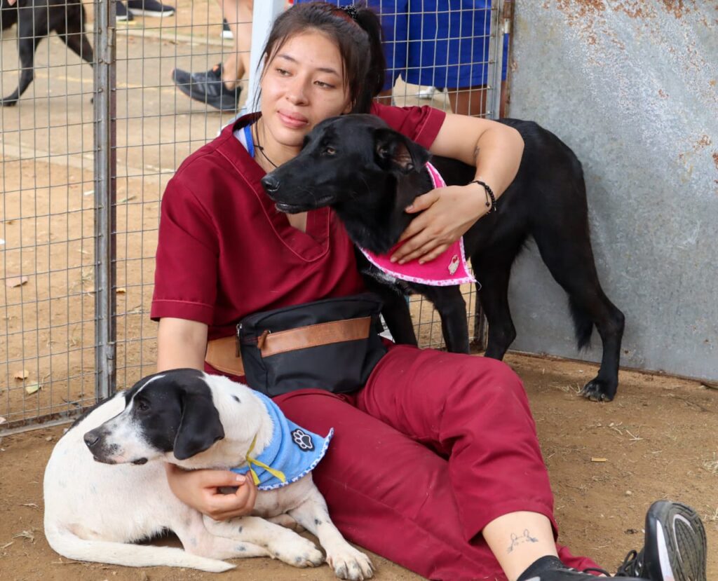BNnoticias2020's tweet photo. LA RADIOTÓN 2026 LLEGA A BUCARAMANGA PARA APOYAR A LOS ANIMALES EN SITUACIÓN DE ABANDONO
https://t.co/i9DMV6USGt
@mayuperiodista @LaCulturalF @Mapaver https://t.co/otQS7xq2s6