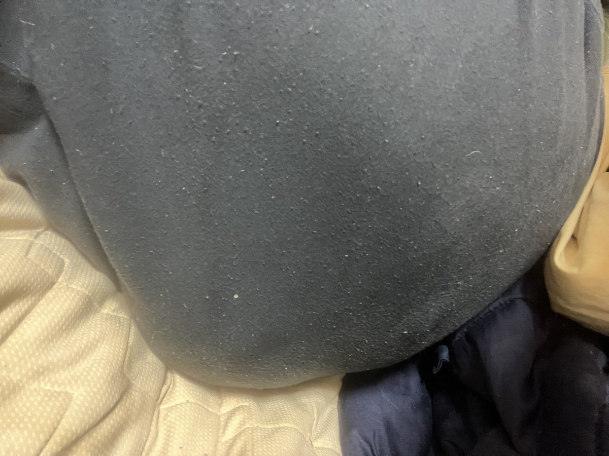 glowinshell's tweet photo. 大きい方をしたときのズボンの膨らみ
#おむつ
#おもらし
#diaper https://t.co/yNktHLOkW2