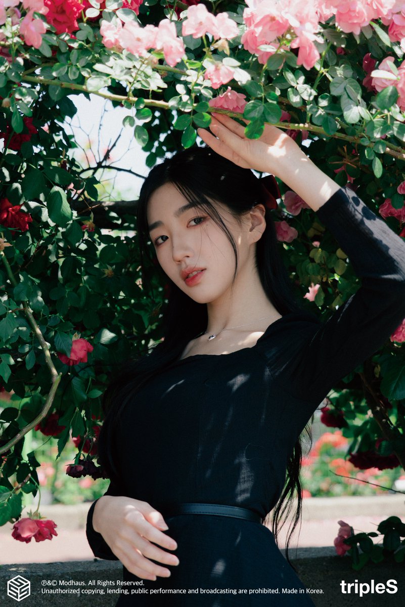 tripleS official tweet media