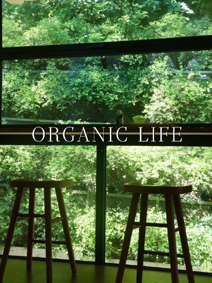 anne day tweet media