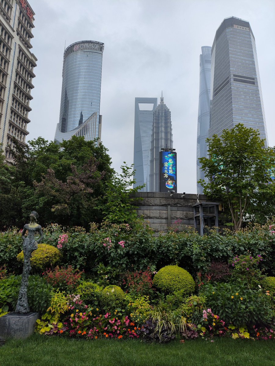 Investment advisor. tweet media