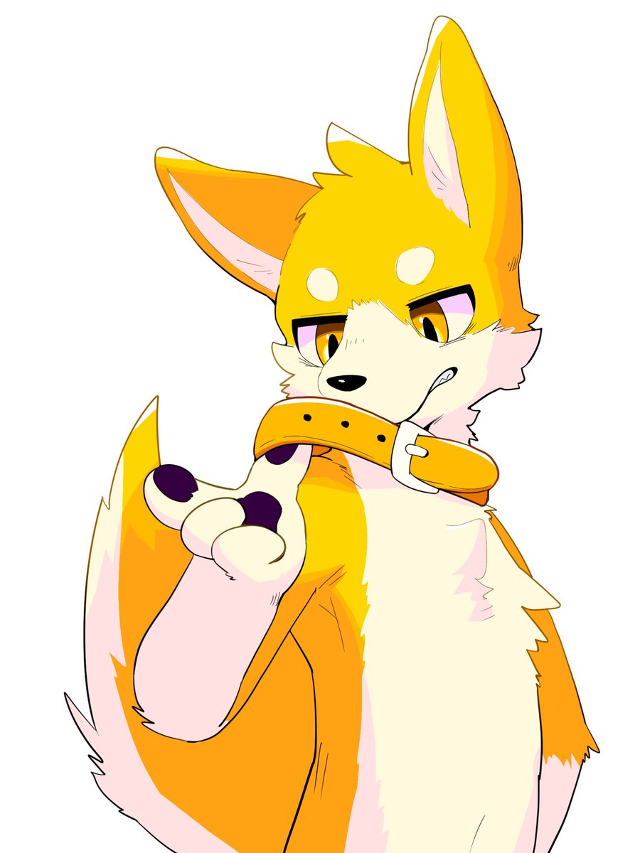 サイトウ (@46fn_) on Twitter photo 