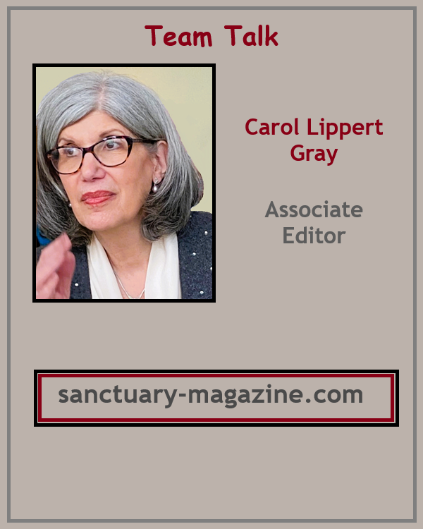 Sanctuary Magazine tweet media