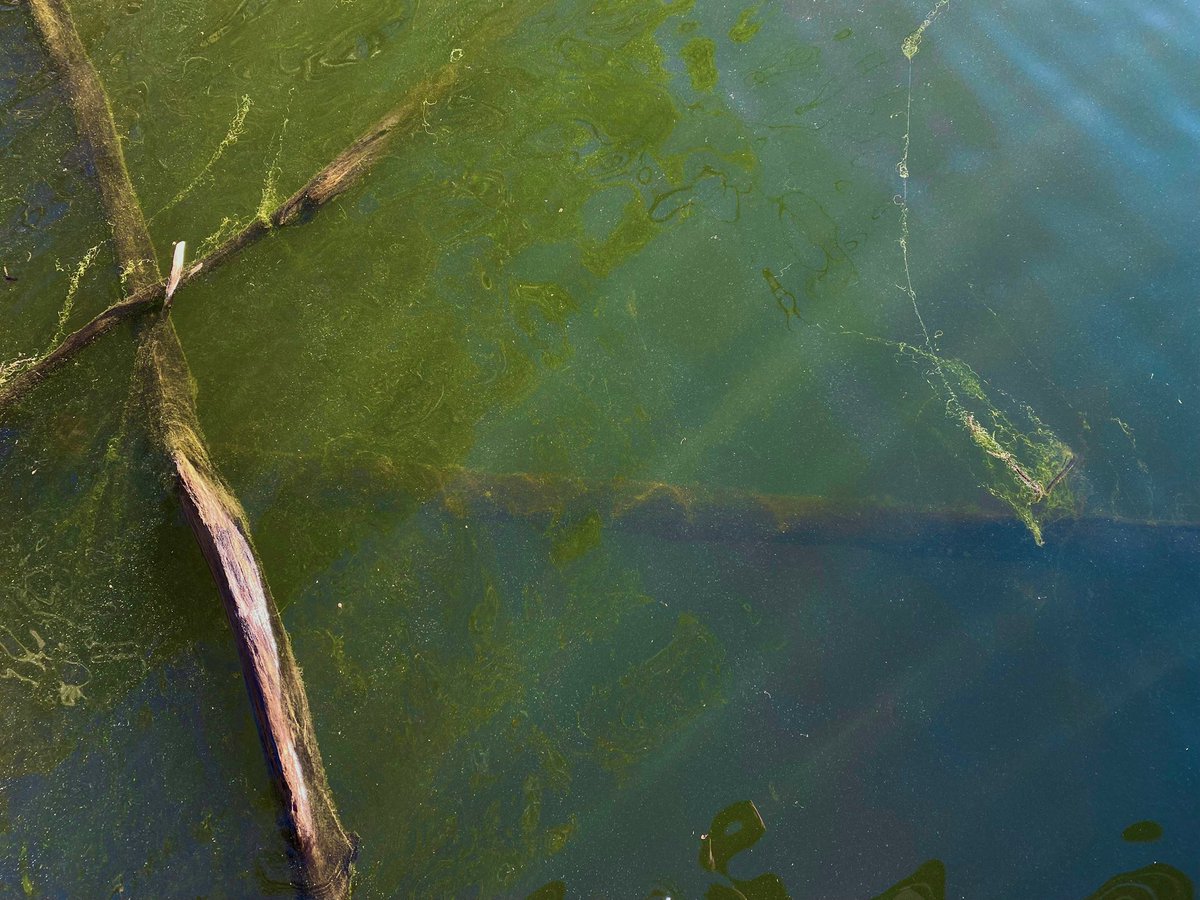 ☾ WITCH ☾ tweet media