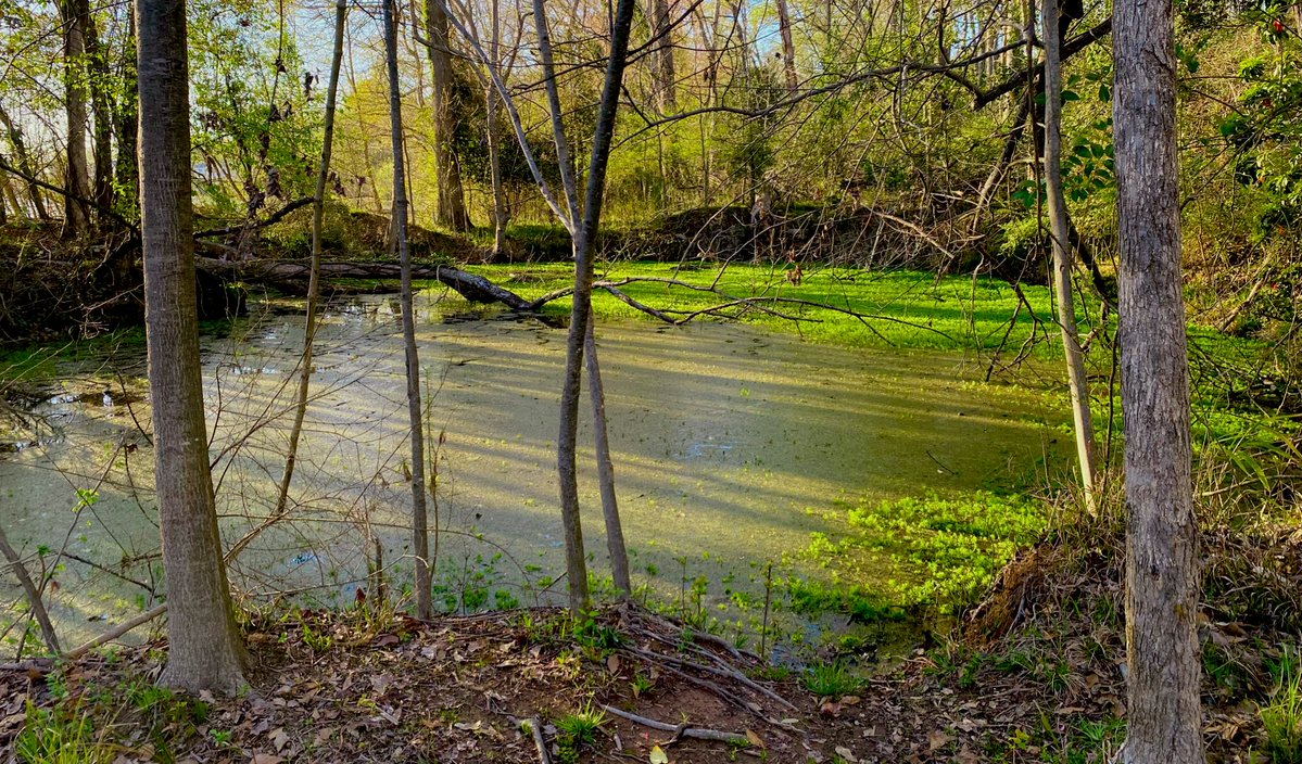 ☾ WITCH ☾ tweet media