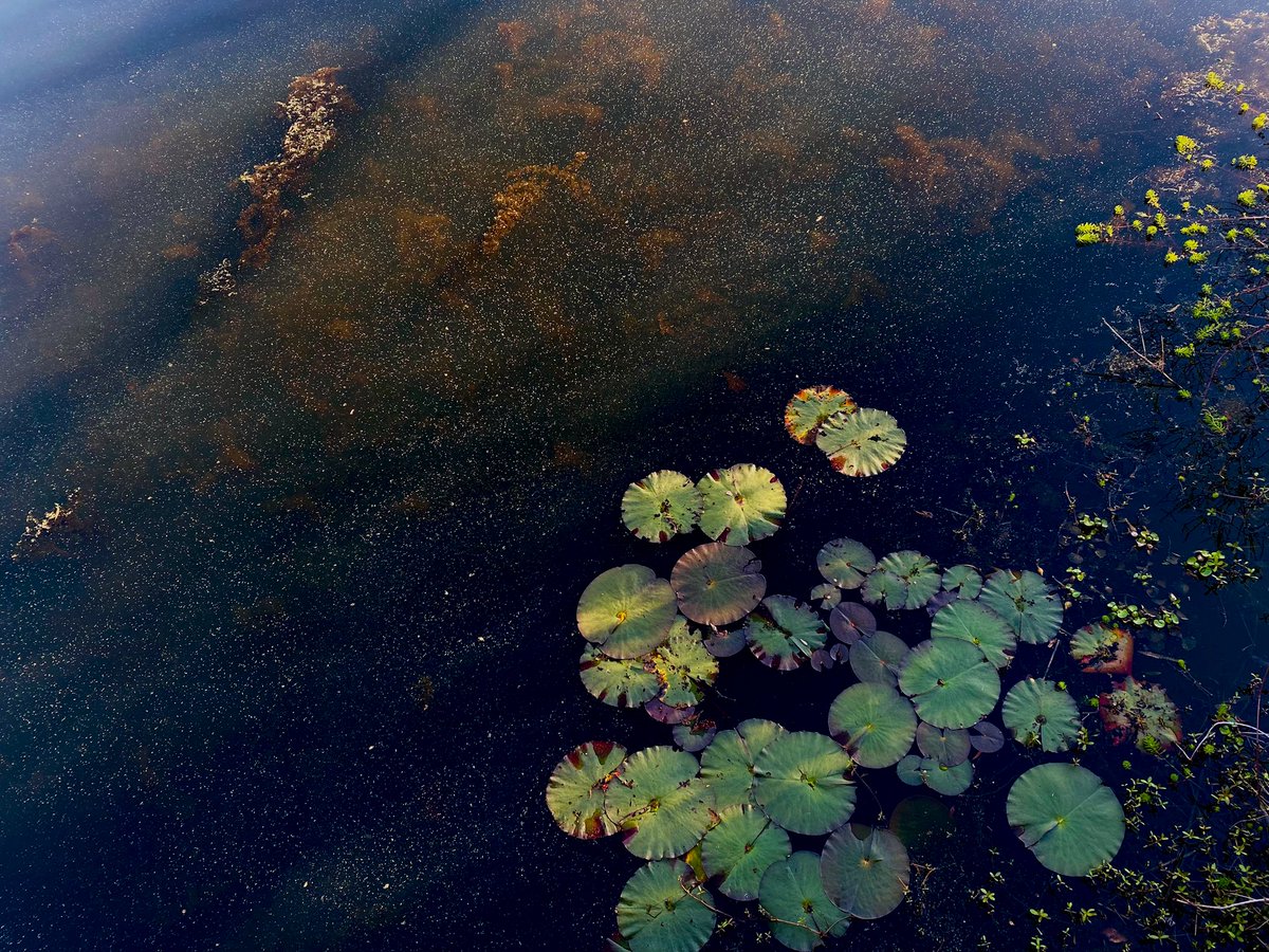 ☾ WITCH ☾ tweet media