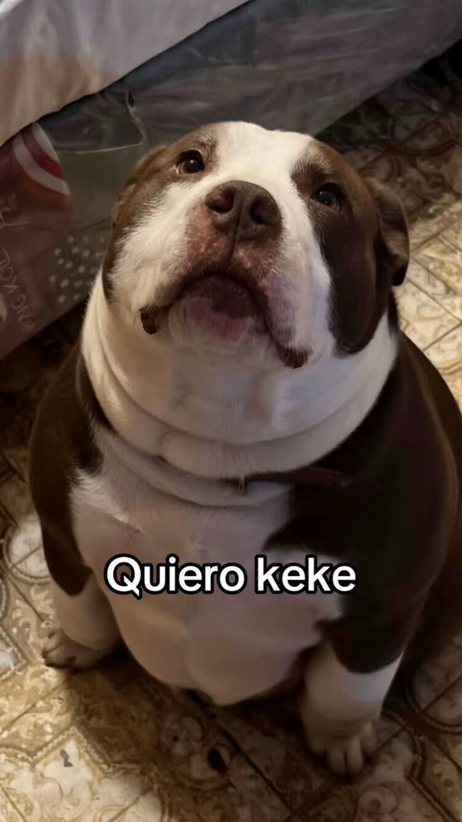 cristiaaaaanx's tweet photo. naaaah que mandan https://t.co/xSDDWkvMZD