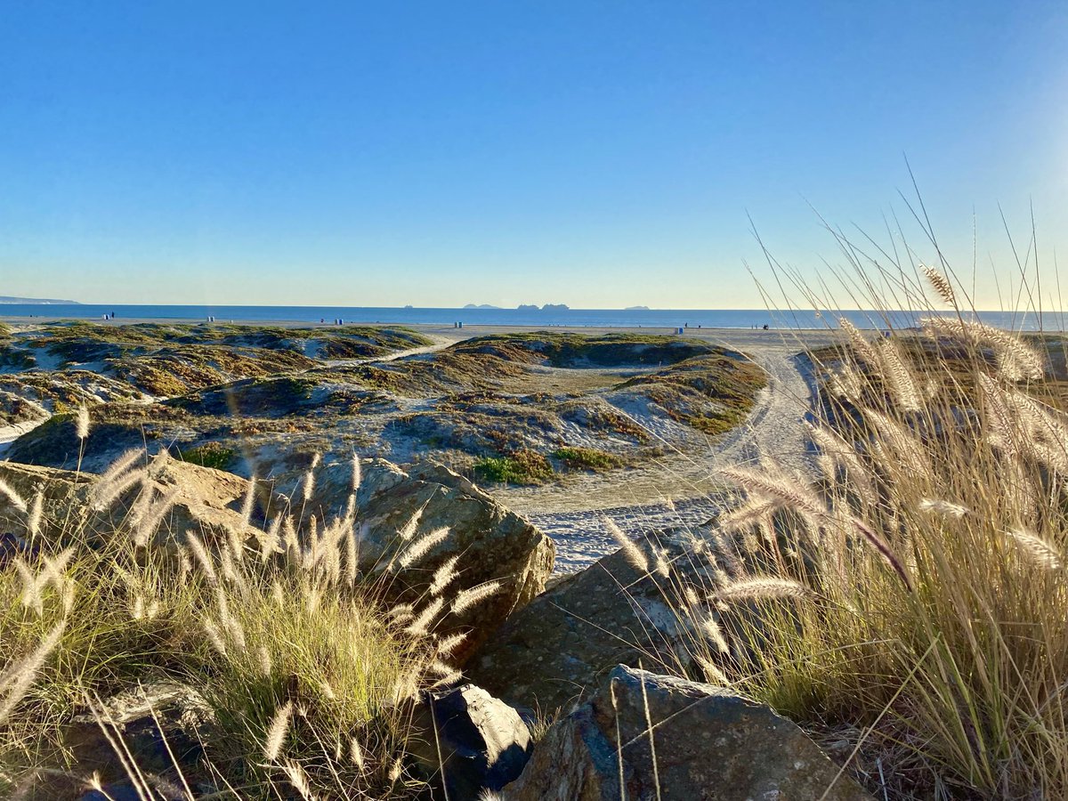 the DNGR collective tweet media