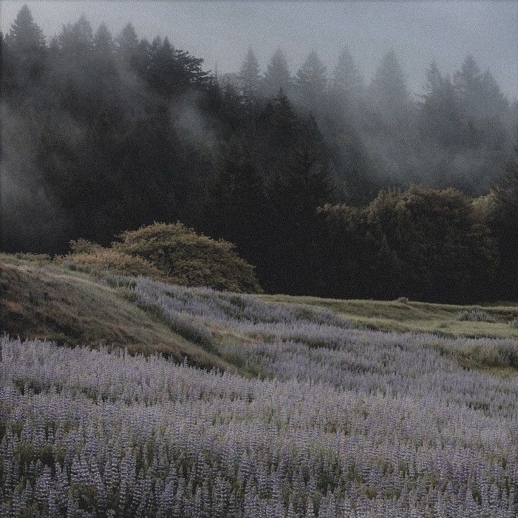 #1 roland kisser of #librarytwt tweet media