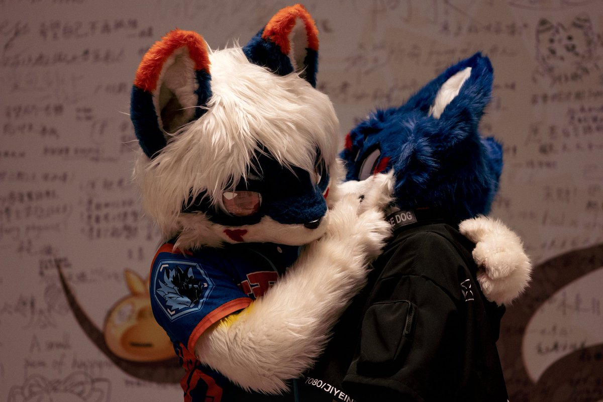 電光石火 tweet media