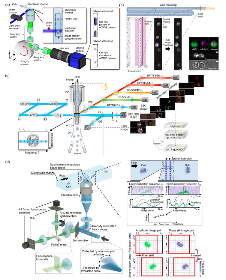 Biosensors_MDPI's tweet photo. 📣Call for Reading:

#Review
Recent Developments (After 2020) in Flow Cytometry Worldwide and Within China

by Xinyue Du et al.

https://t.co/pdSyyx7mOZ

#FlowCytometry #SingleCellAnalysis 
#biosensors #mdpi #openaccess https://t.co/ghAocteqnp