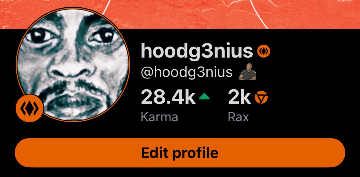 𝘩𝘰𝘰𝘥𝘨𝘦𝘯𝘪𝘶𝘴 🥷🏿 tweet media