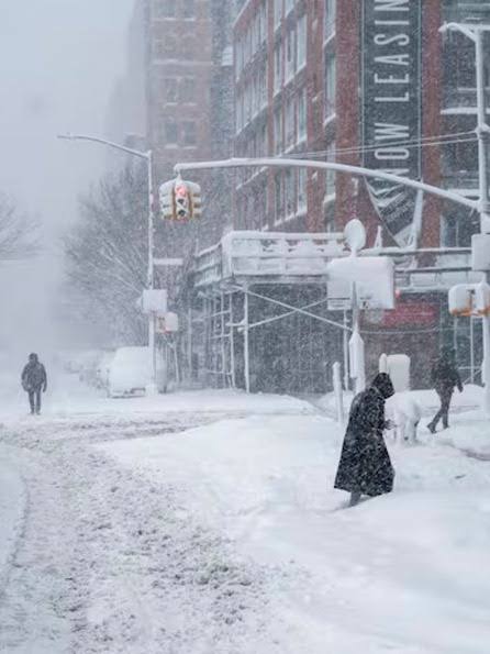 Lucho Runner ⭐️⭐️⭐️ (Lucho Mayorga) tweet media