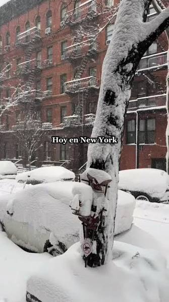 Lucho Runner ⭐️⭐️⭐️ (Lucho Mayorga) tweet media