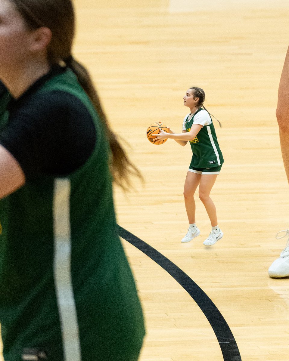 NMU Women's Basketball tweet media