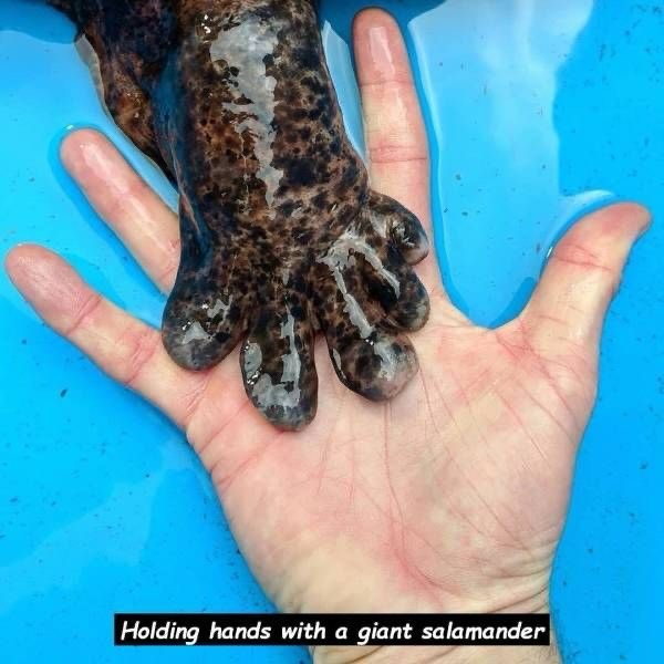 Grande (@sixrande) on Twitter photo 