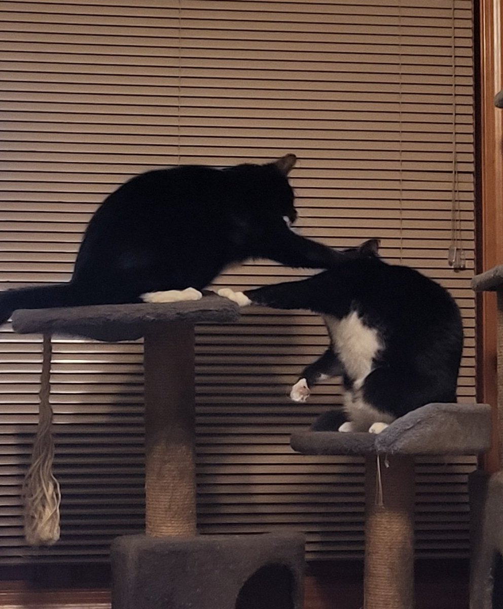 Proud Military Momma tweet media