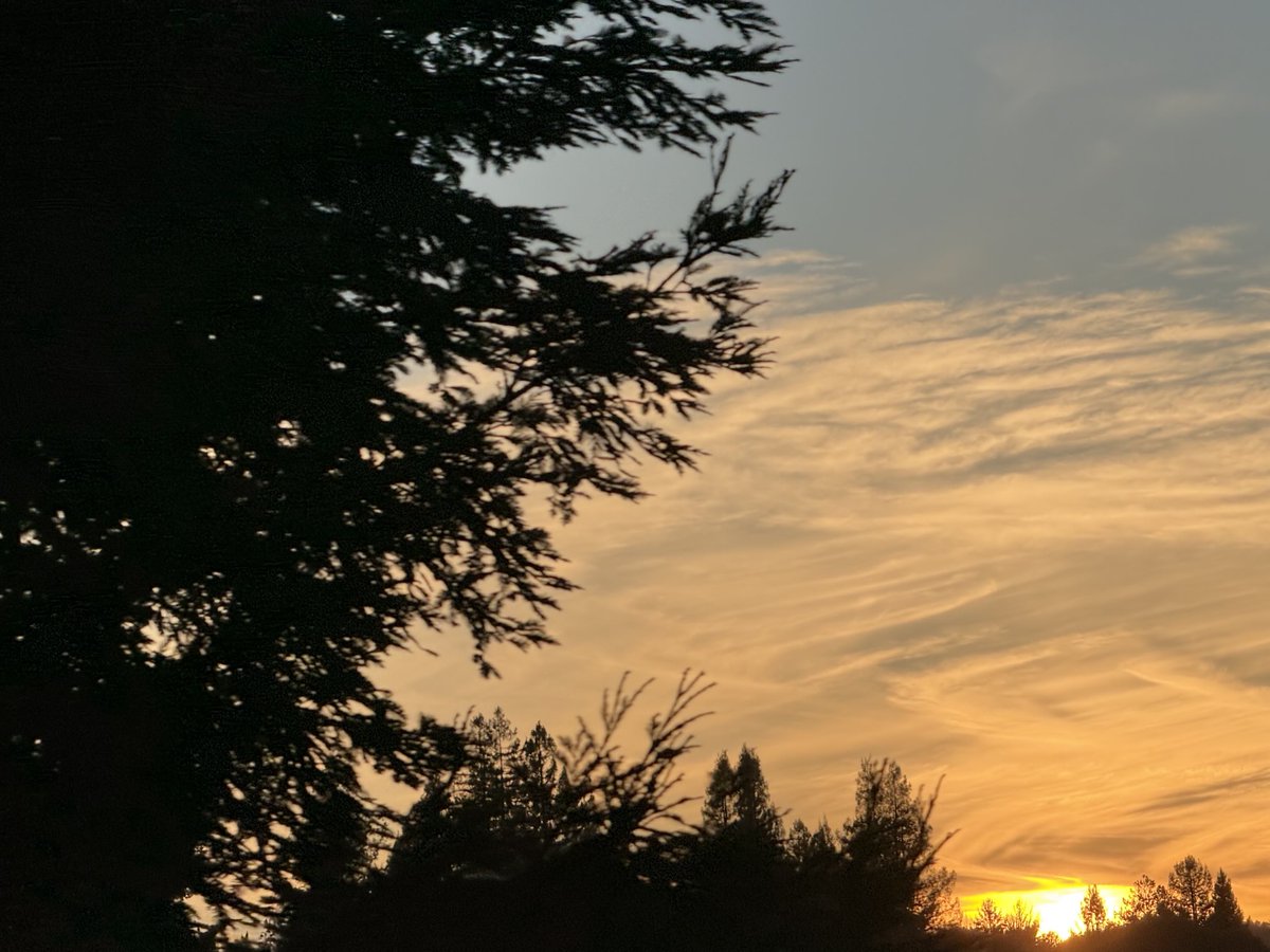 smith_sono65374's tweet image. Wierd shapes in the chemical clouds today. First time I’ve noticed this pattern. #GeoEngineering #TheDimming #Weathermodification #ChemTrails