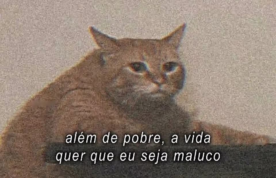 Pagina lixo tweet media