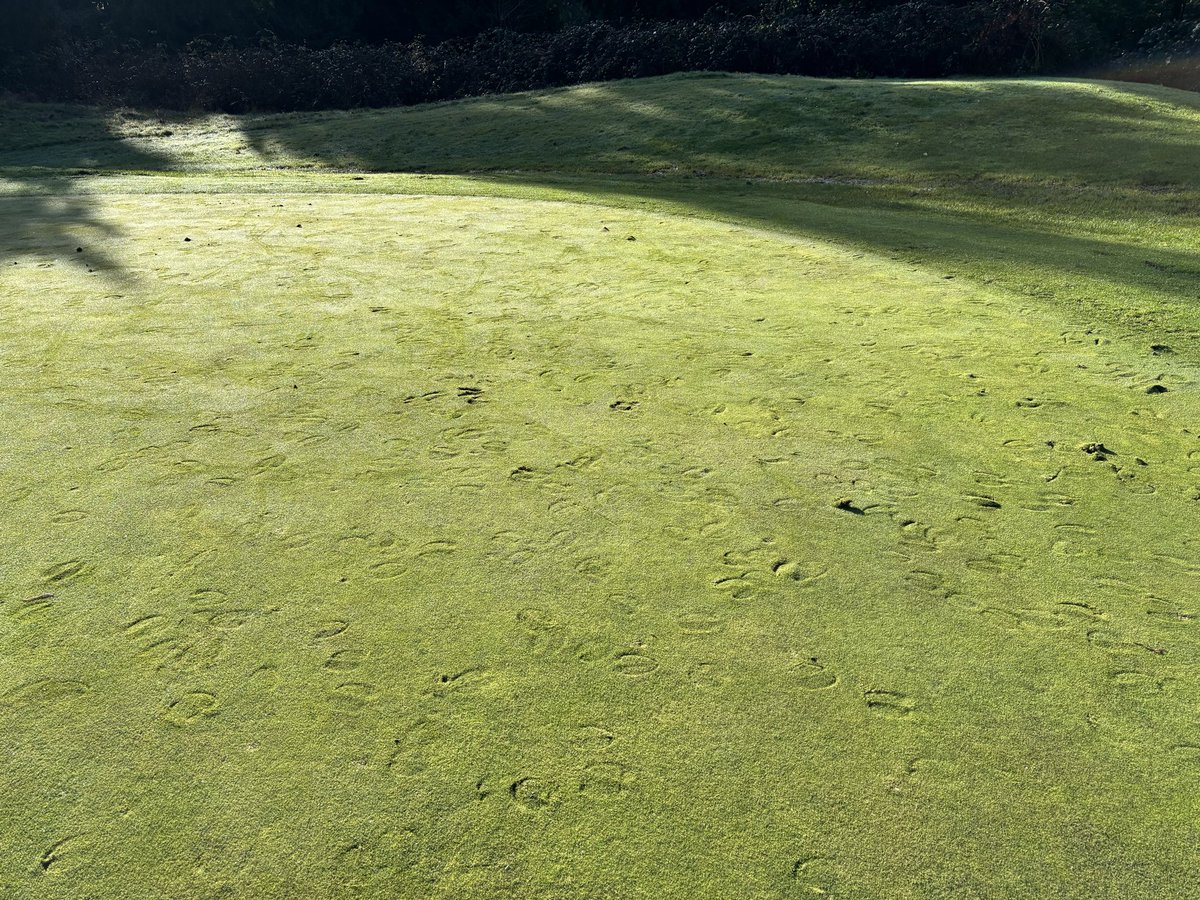 Pat Lethbridge tweet media