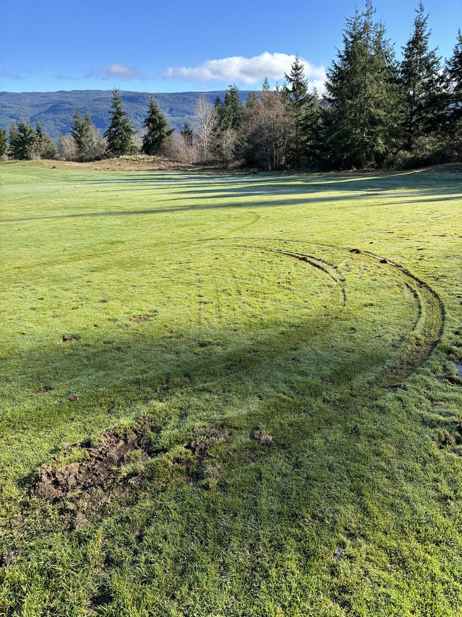 Pat Lethbridge tweet media