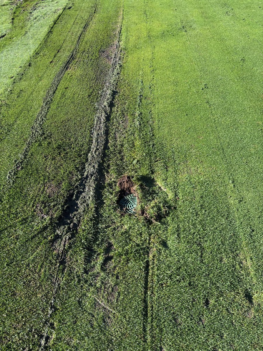 Pat Lethbridge tweet media