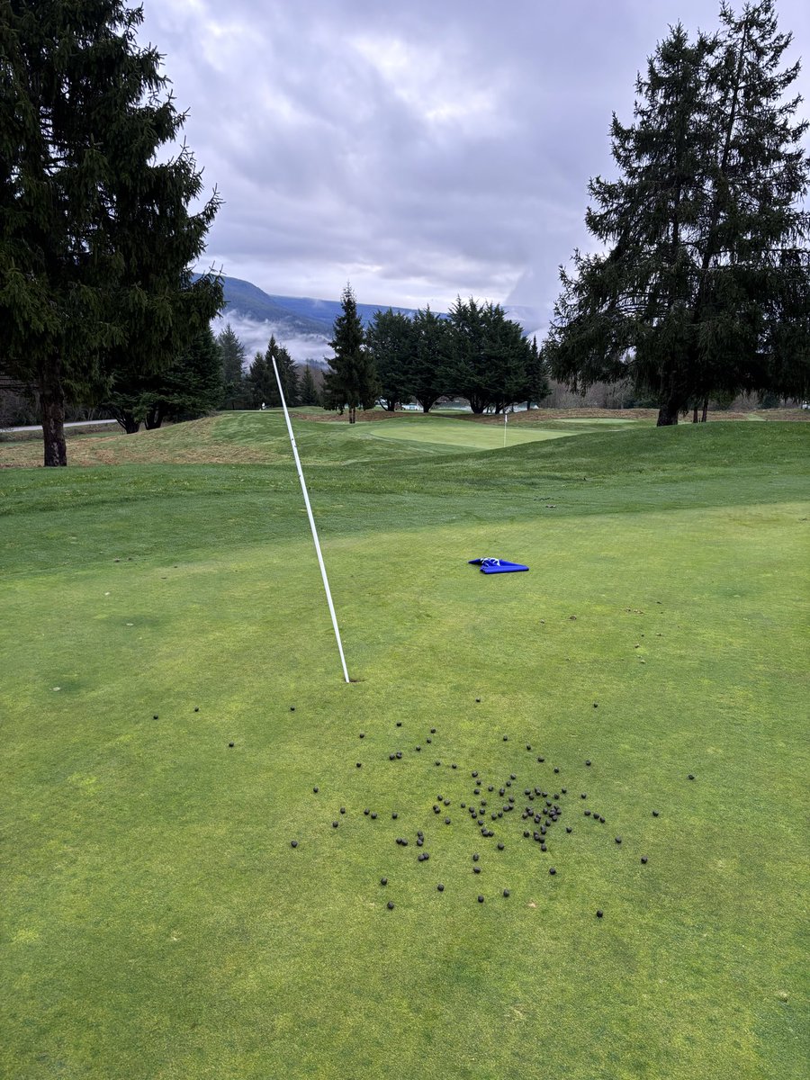 Pat Lethbridge tweet media