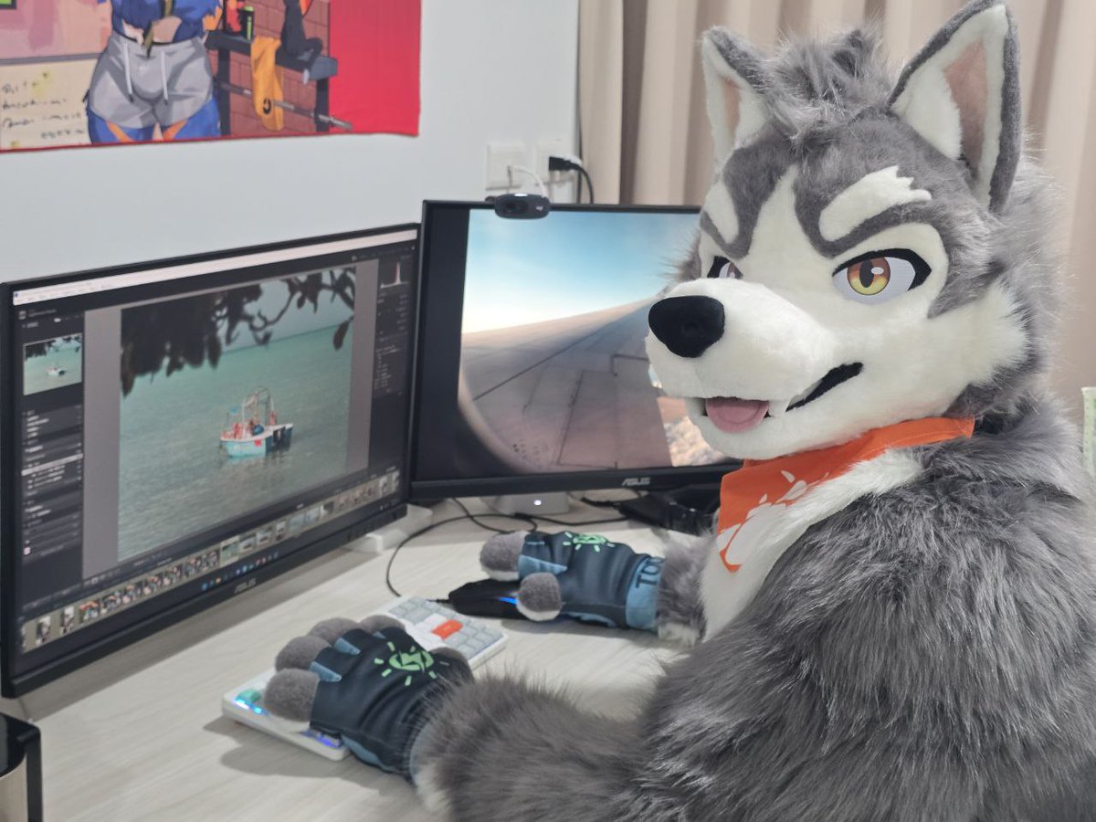 晴海徹 (はるみ とおる) 寫真系Vtuber🔜長毛了 tweet media